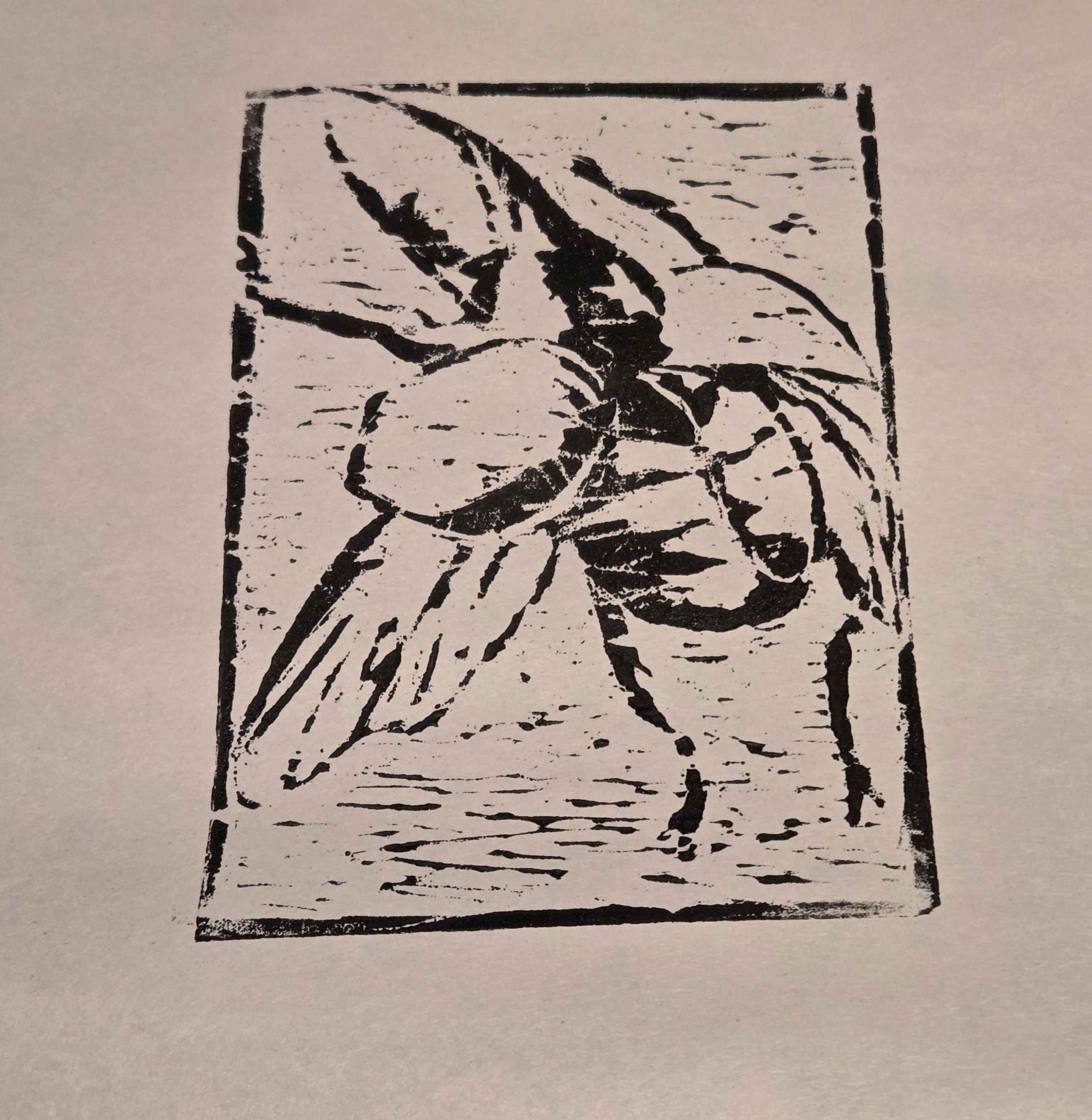 Hercules Beetle (Woodblock print)